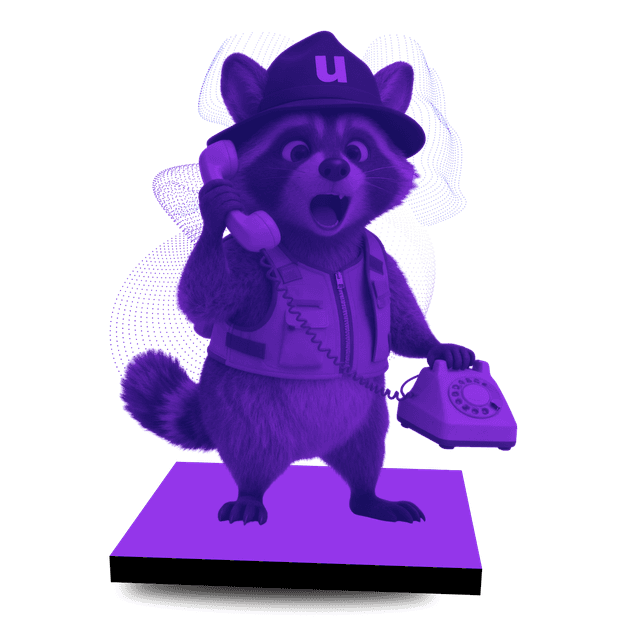 Unny raccoon på telefon